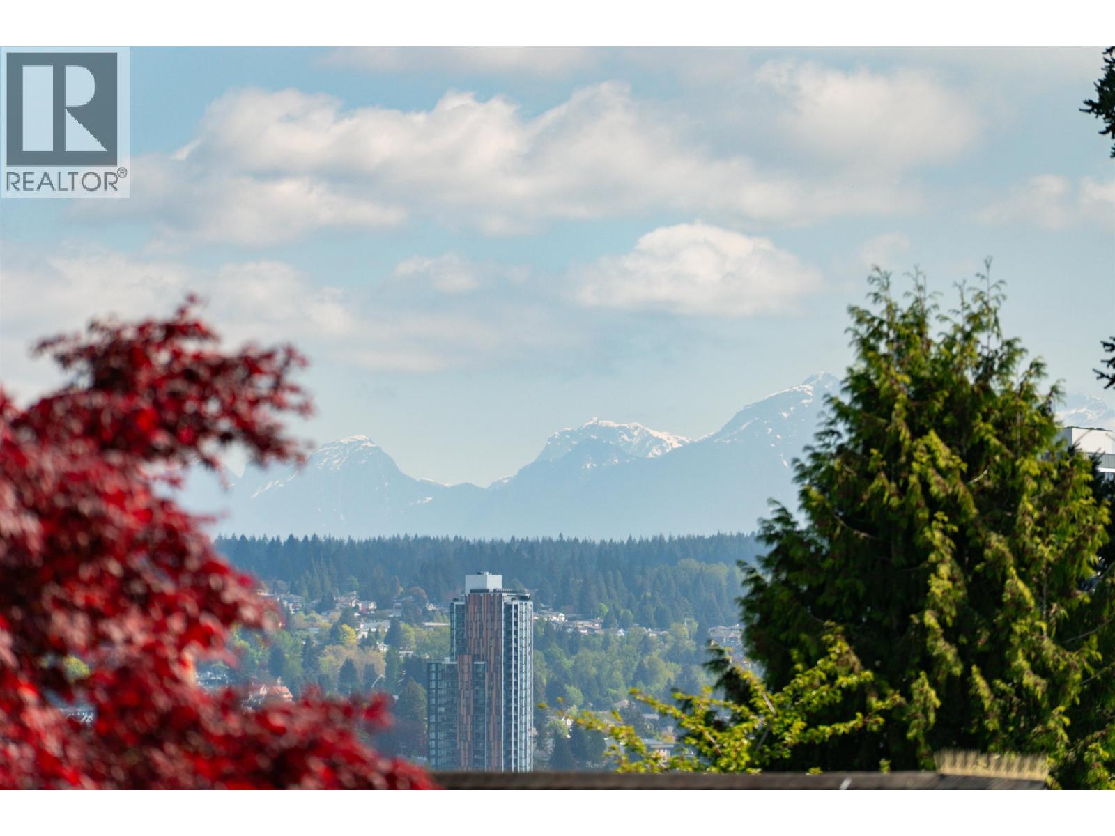 330 Richmond Street, New Westminster, British Columbia  V3L 4B8 - Photo 29 - R3164060