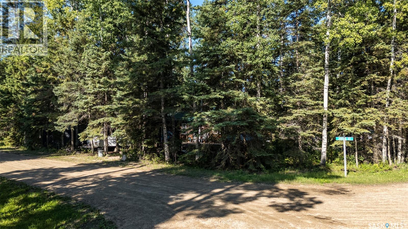 302 Jarvis Street, Emma Lake, Saskatchewan  S0J 0N0 - Photo 25 - SK048119