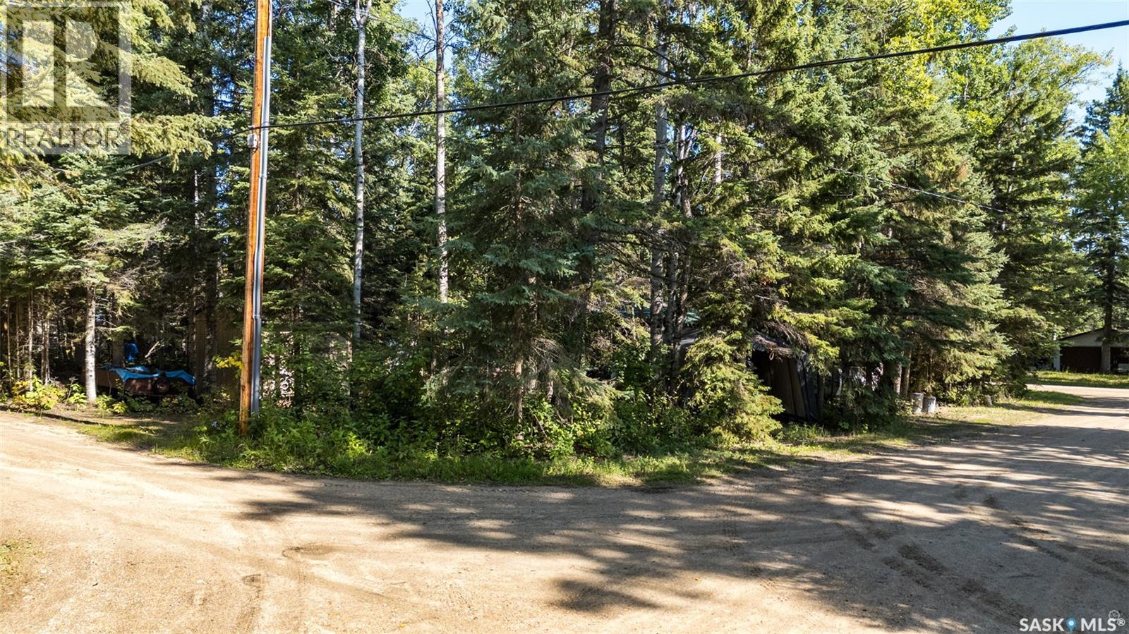 302 Jarvis Street, Emma Lake, Saskatchewan  S0J 0N0 - Photo 26 - SK048119