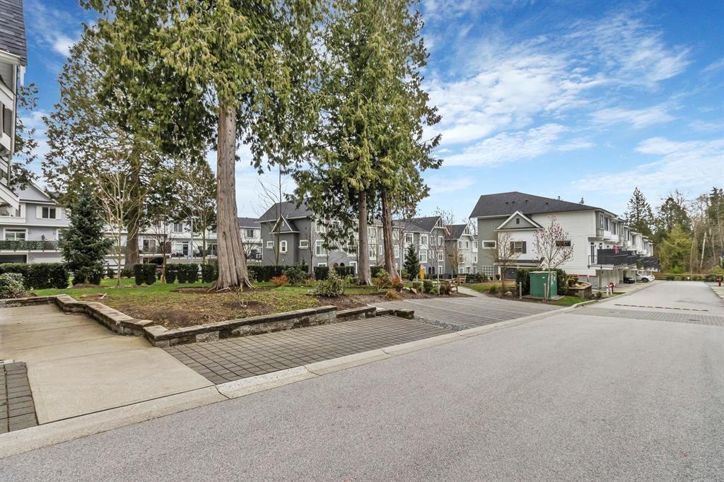 51 8130 136a Street, Surrey, British Columbia  V3W 1H9 - Photo 18 - R3161241