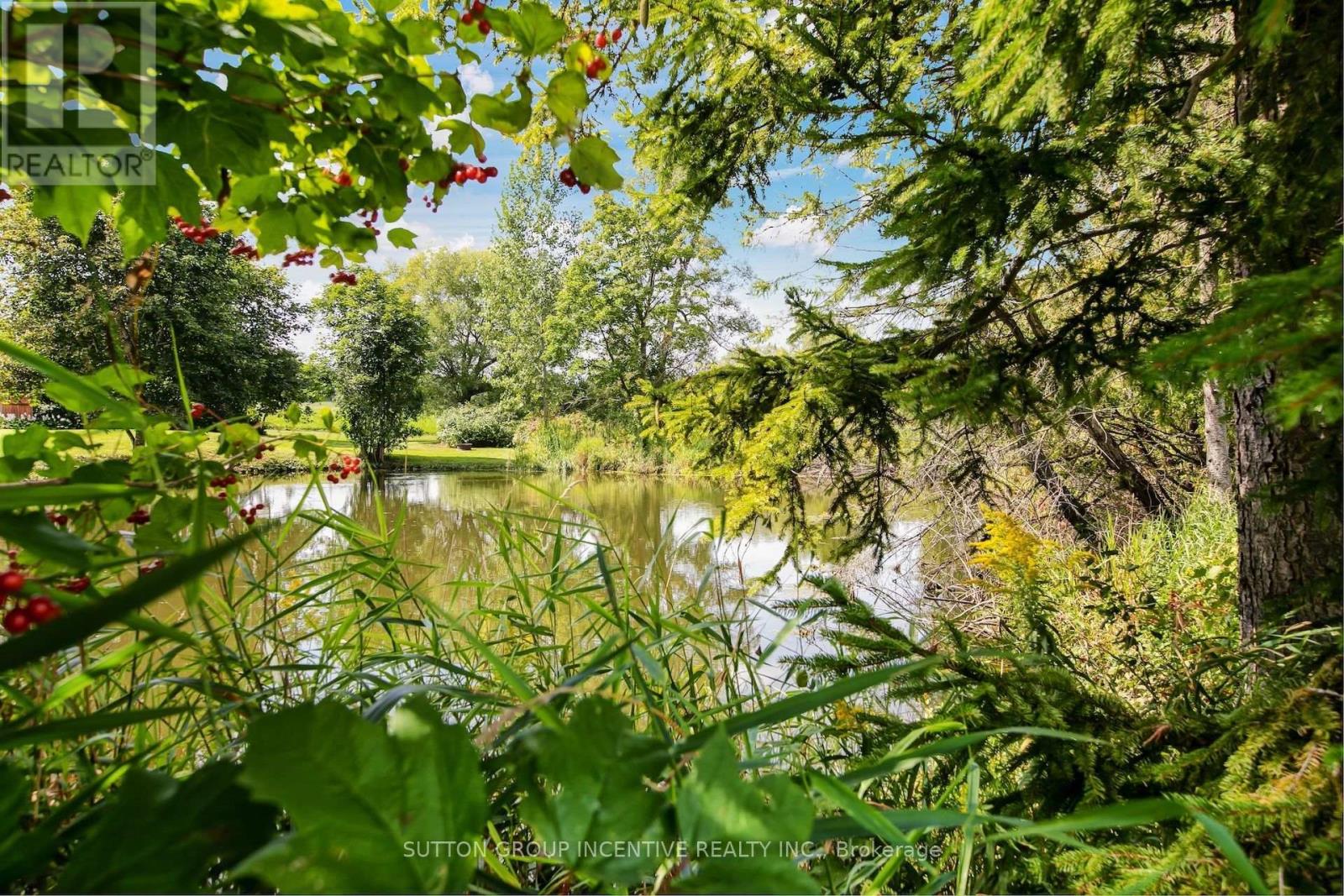 2804 9th Line, Bradford West Gwillimbury, Ontario  L3Z 3T4 - Photo 43 - N13769878