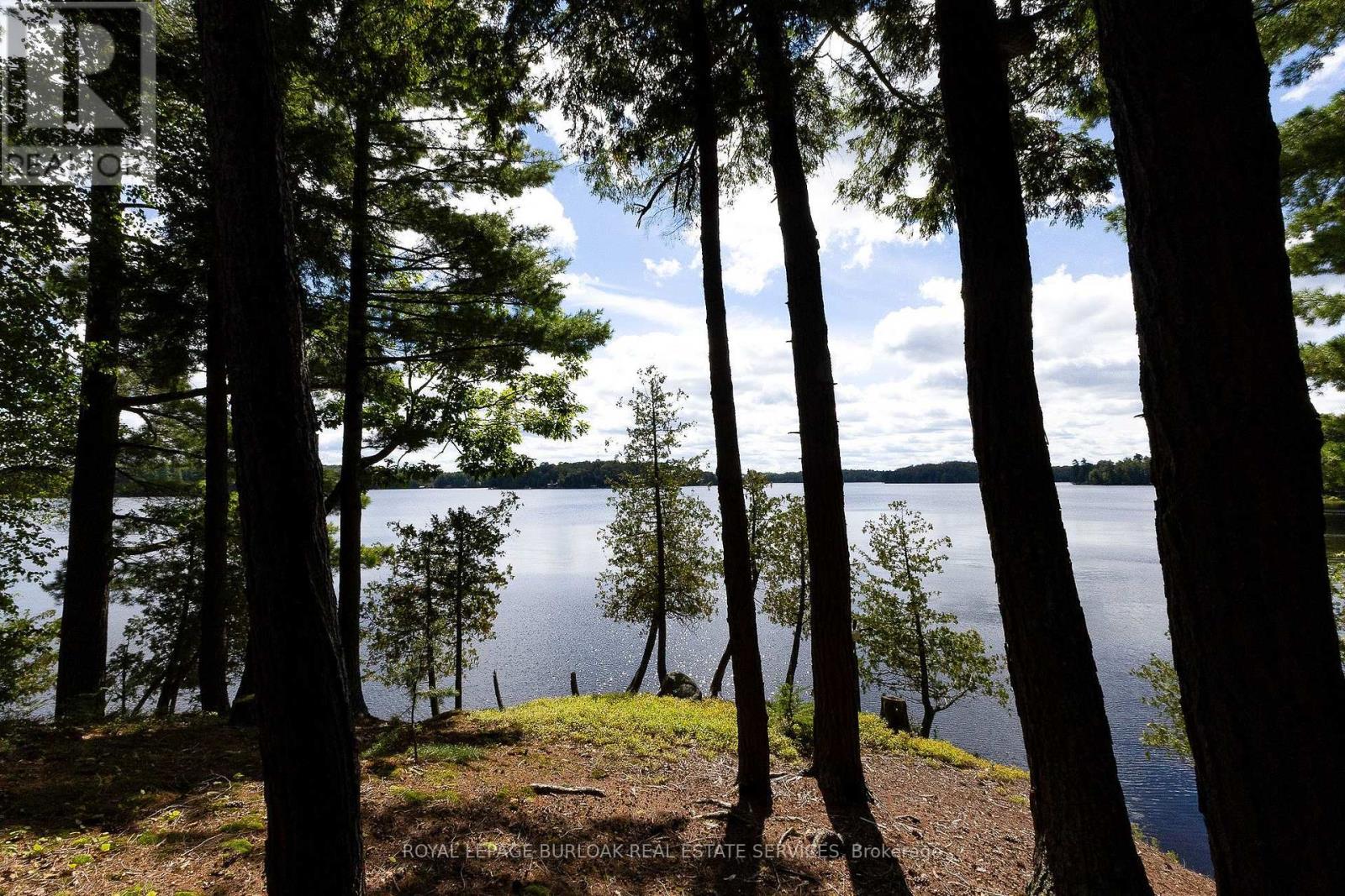 115 Tanners Lane, Magnetawan, Ontario  P0A 1P0 - Photo 33 - X13769056