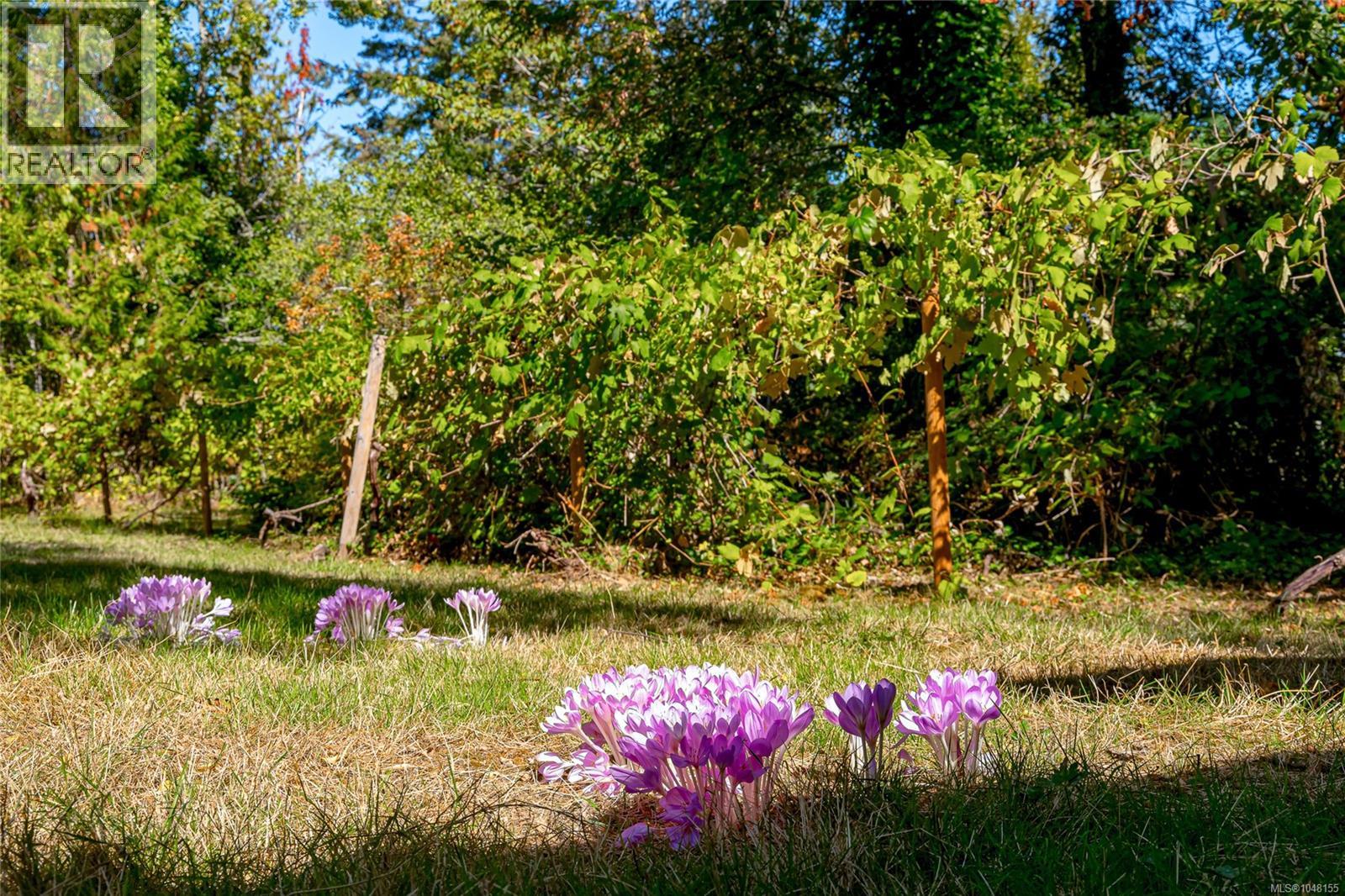 11196 North Watts Rd, Saltair, British Columbia  V9G 1Y6 - Photo 28 - 1048155