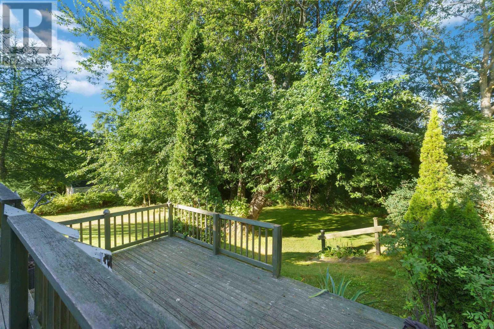 picture 41