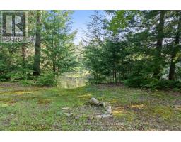 1025 MOE'S ROAD, Bracebridge, Ontario