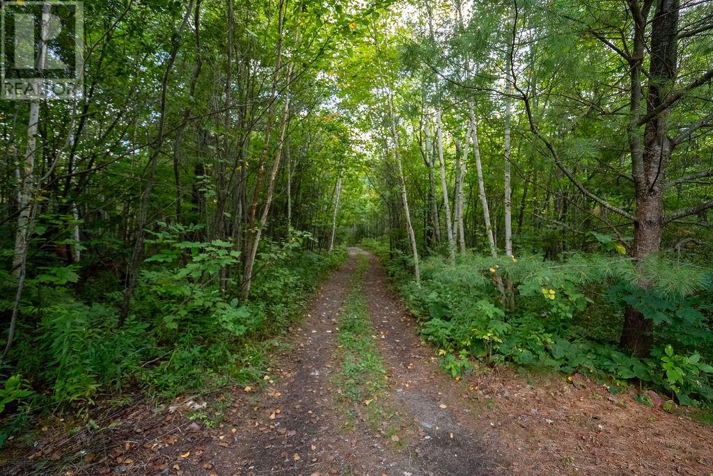 672 Highway 535, Noelville, Ontario  P0M 2N0 - Photo 36 - 2130311