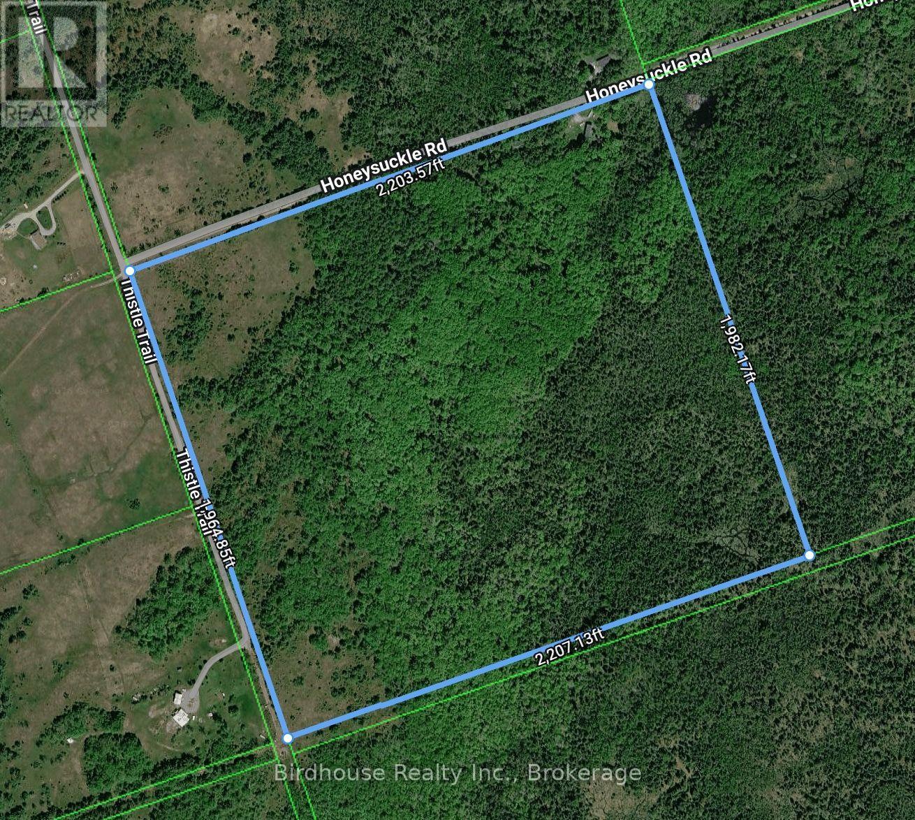 79 Honeysuckle Road, Kawartha Lakes (Laxton/digby/longford), Ontario  K0M 2B0 - Photo 37 - X13771300