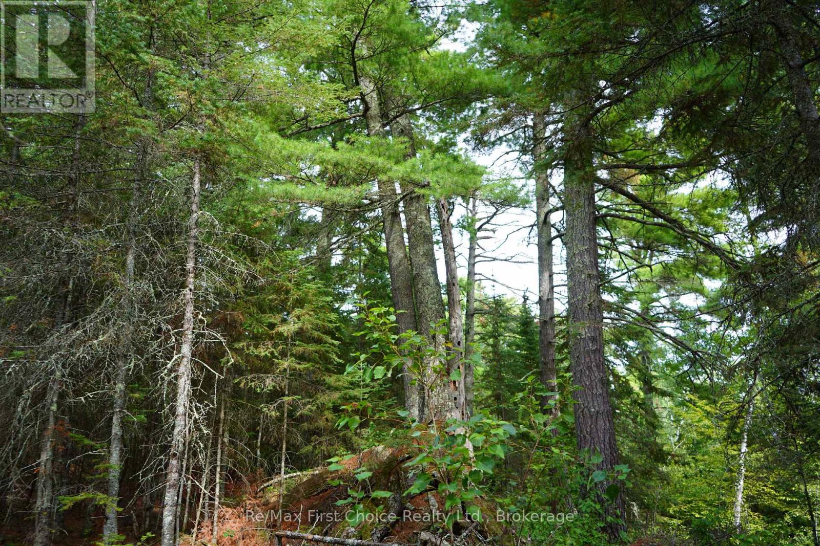 0 Dubois Road, Sioux Narrows-Nestor Falls, Ontario  P0X 1N0 - Photo 11 - X13770966