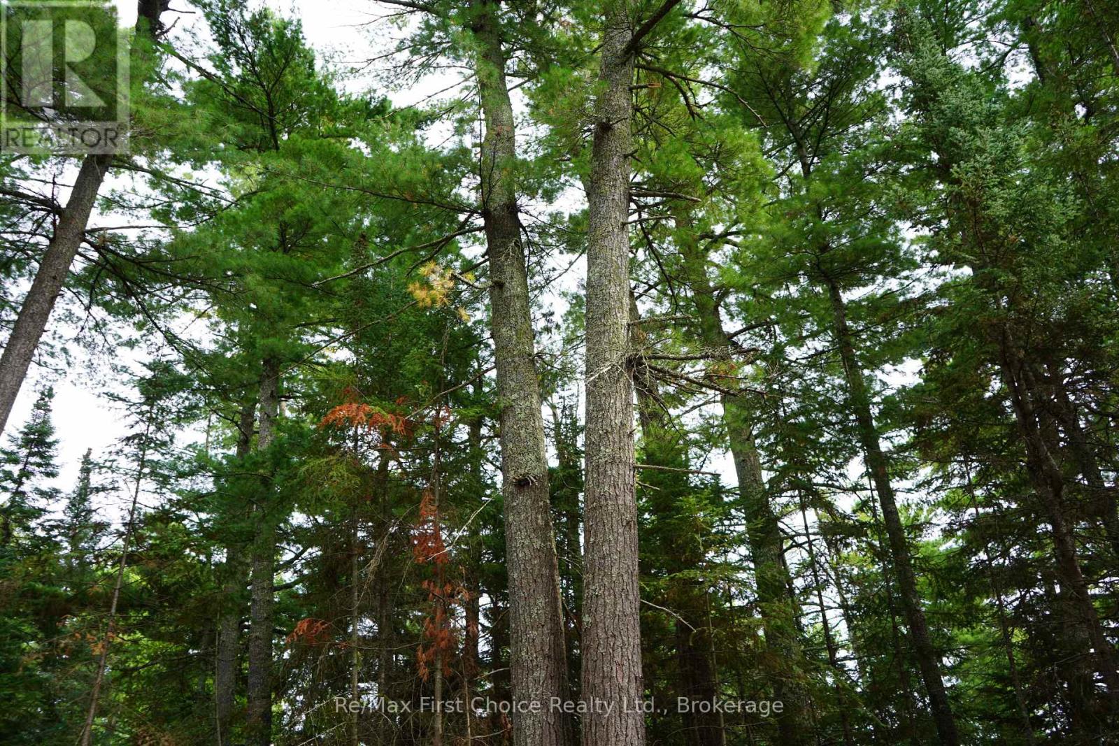 0 Dubois Road, Sioux Narrows-Nestor Falls, Ontario  P0X 1N0 - Photo 14 - X13770966
