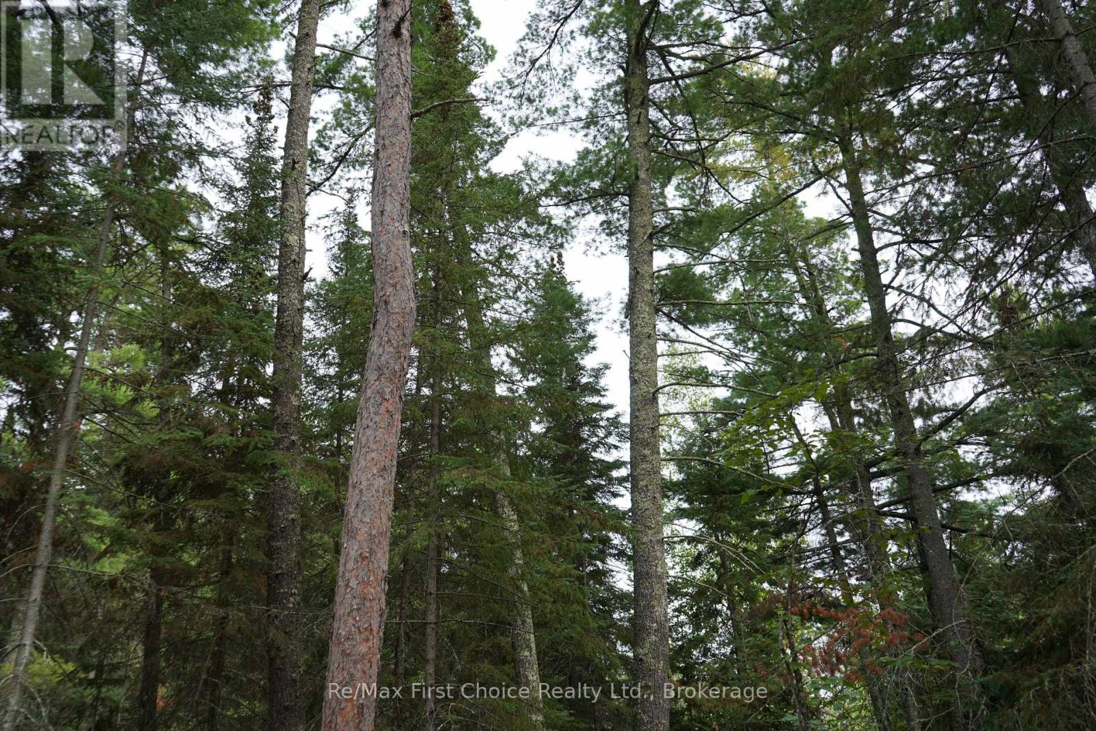 0 Dubois Road, Sioux Narrows-Nestor Falls, Ontario  P0X 1N0 - Photo 23 - X13770966