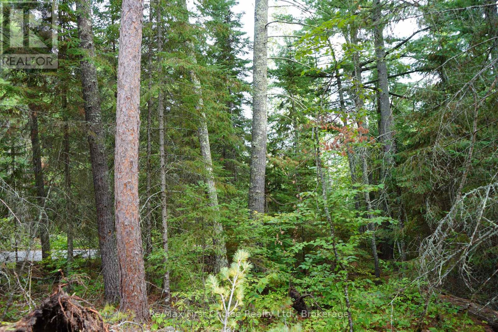 0 Dubois Road, Sioux Narrows-Nestor Falls, Ontario  P0X 1N0 - Photo 24 - X13770966