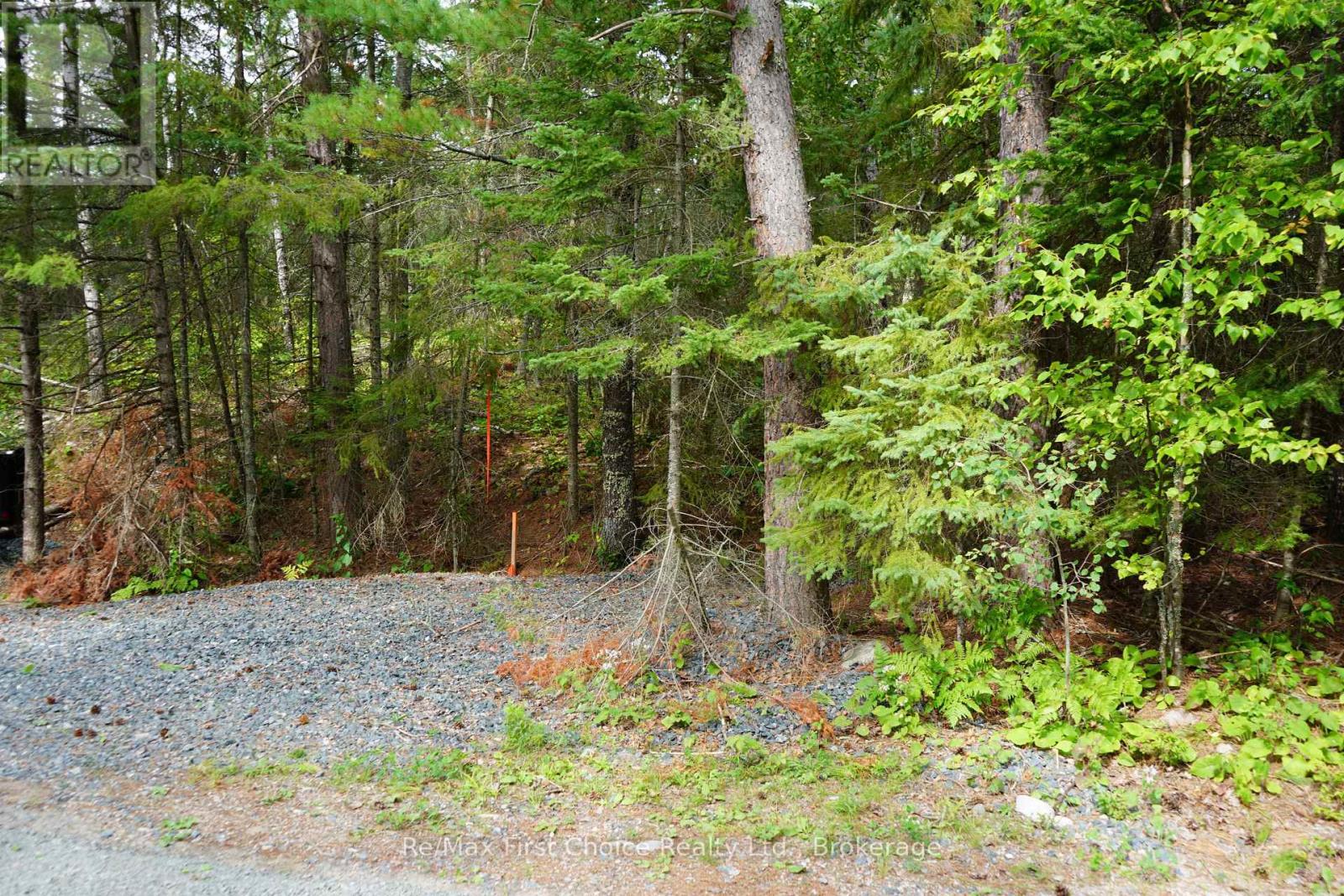 0 Dubois Road, Sioux Narrows-Nestor Falls, Ontario  P0X 1N0 - Photo 25 - X13770966
