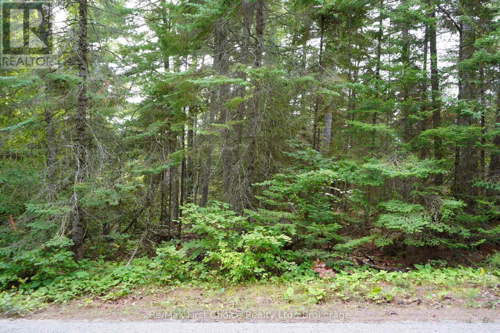0 Dubois Road, Sioux Narrows-Nestor Falls, Ontario  P0X 1N0 - Photo 27 - X13770966