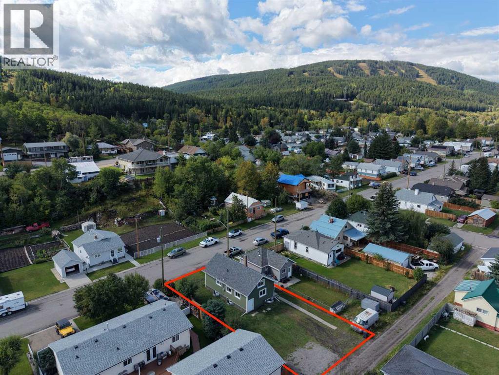 13425 18 Avenue, Blairmore, Alberta  T0K 0E0 - Photo 44 - A2343885