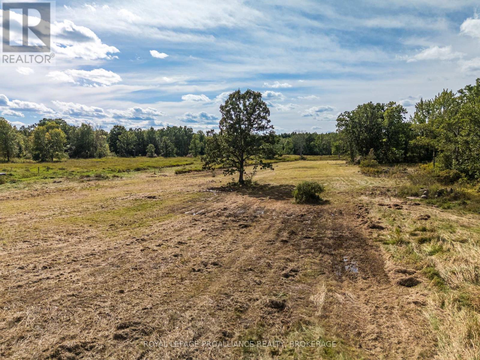Lot 16 Snider Road, Frontenac, Ontario K0H 2W0 - Photo 7 - X13650484