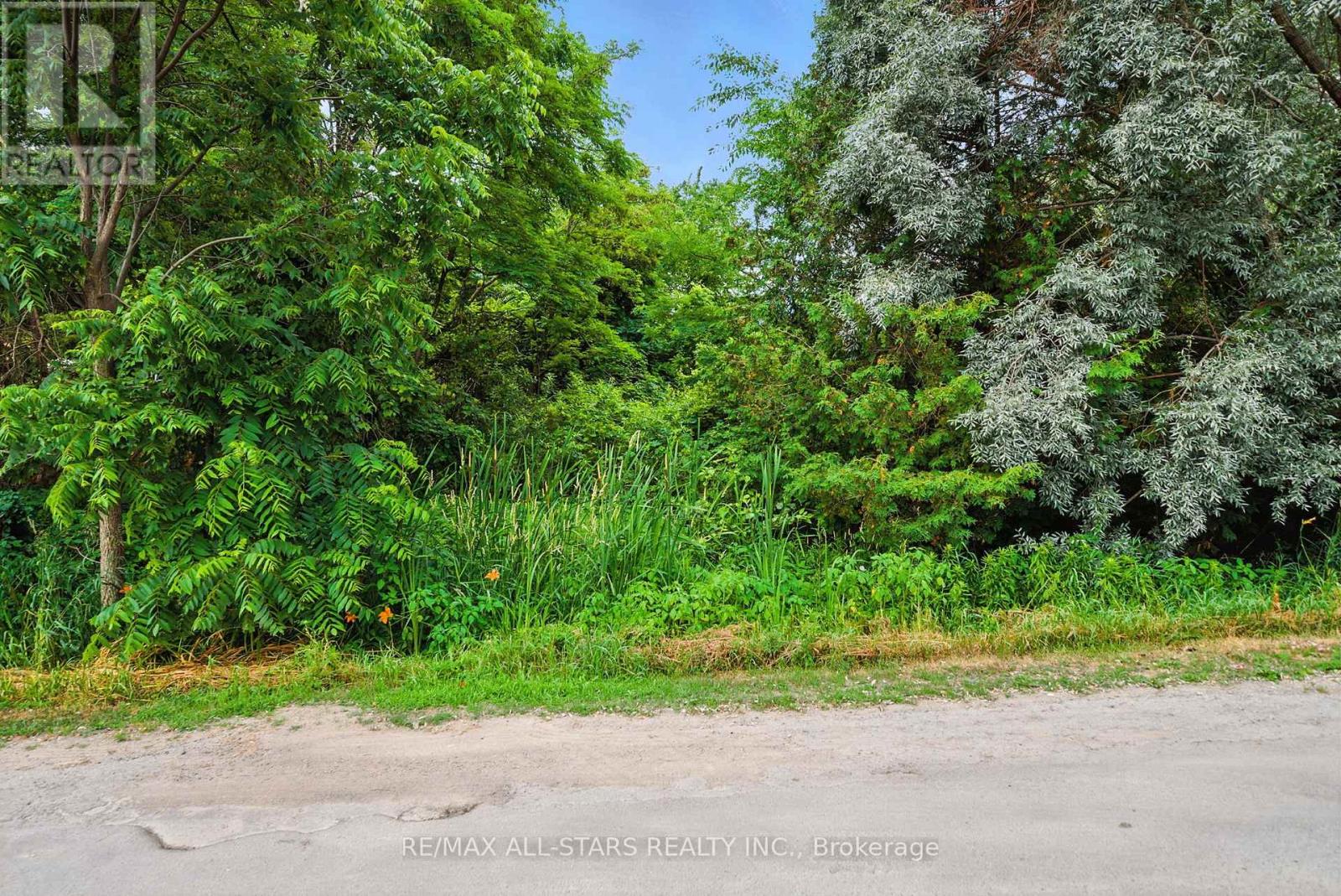 Lot 61 Summer Drive, Kawartha Lakes (Mariposa), Ontario  K0M 2C0 - Photo 3 - X13771714