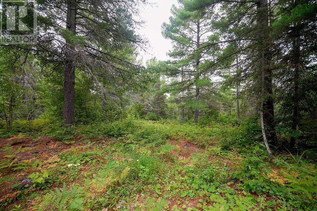 556 Lorne Falls, Greater Sudbury, Ontario  P0M 1J0 - Photo 4 - 2130277