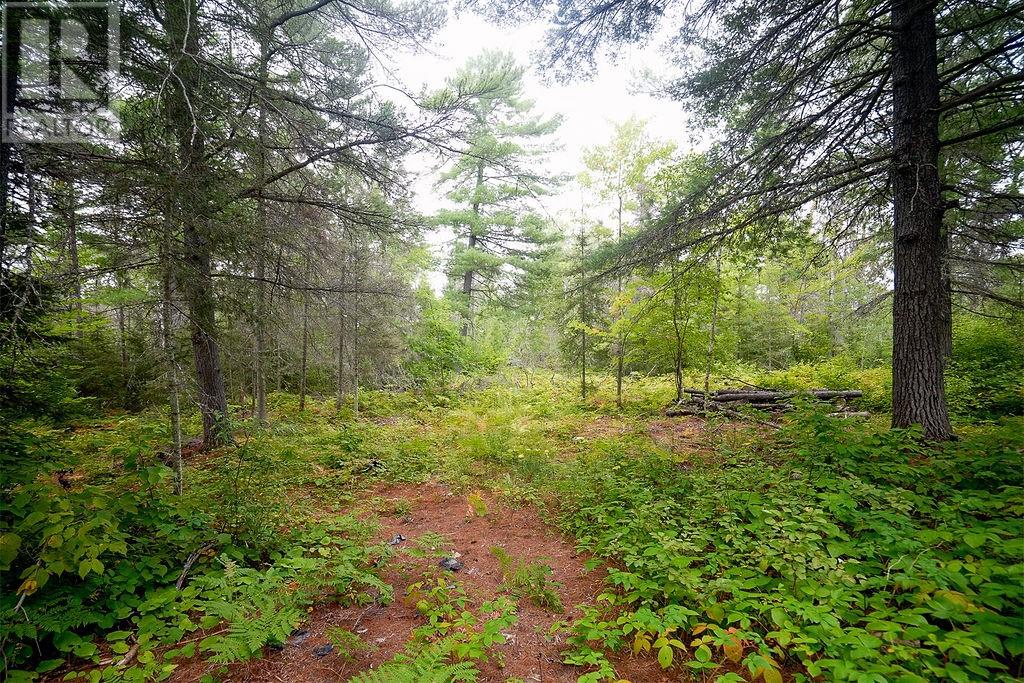 556 Lorne Falls, Greater Sudbury, Ontario  P0M 1J0 - Photo 6 - 2130277