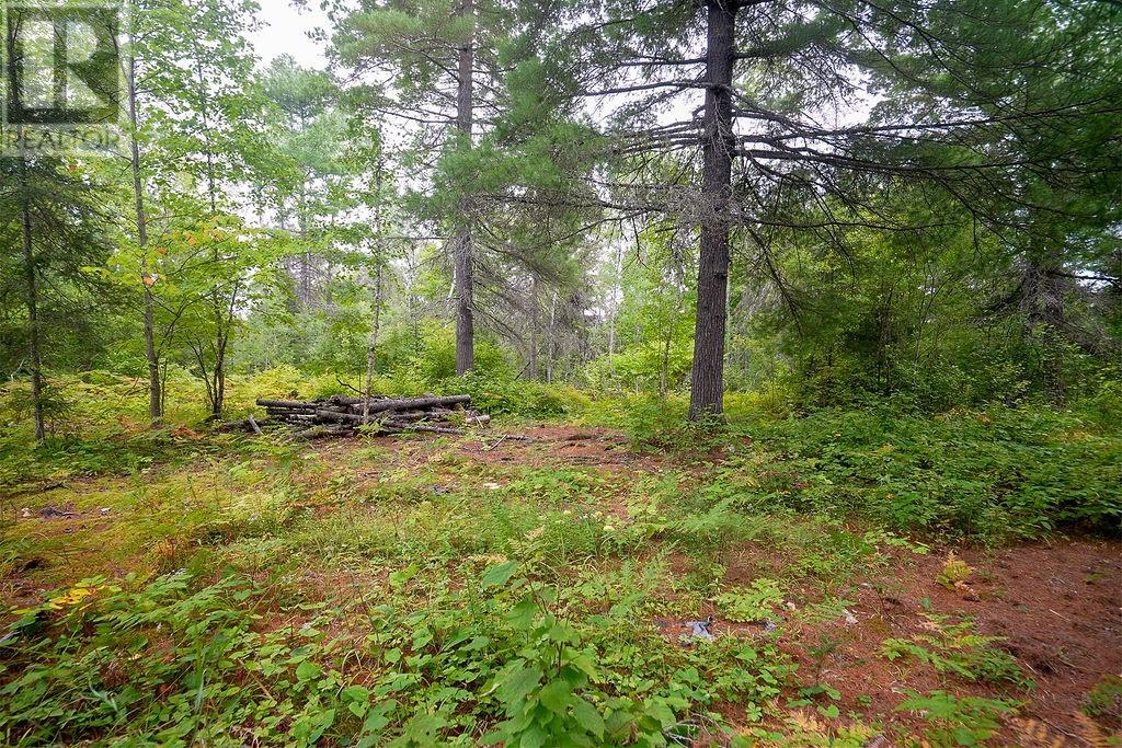 556 Lorne Falls, Greater Sudbury, Ontario  P0M 1J0 - Photo 7 - 2130277