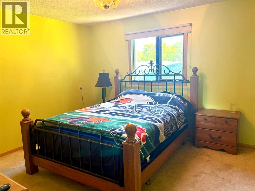 5032 48 Street, Mannville, Alberta  T0B 2W0 - Photo 12 - A2323712