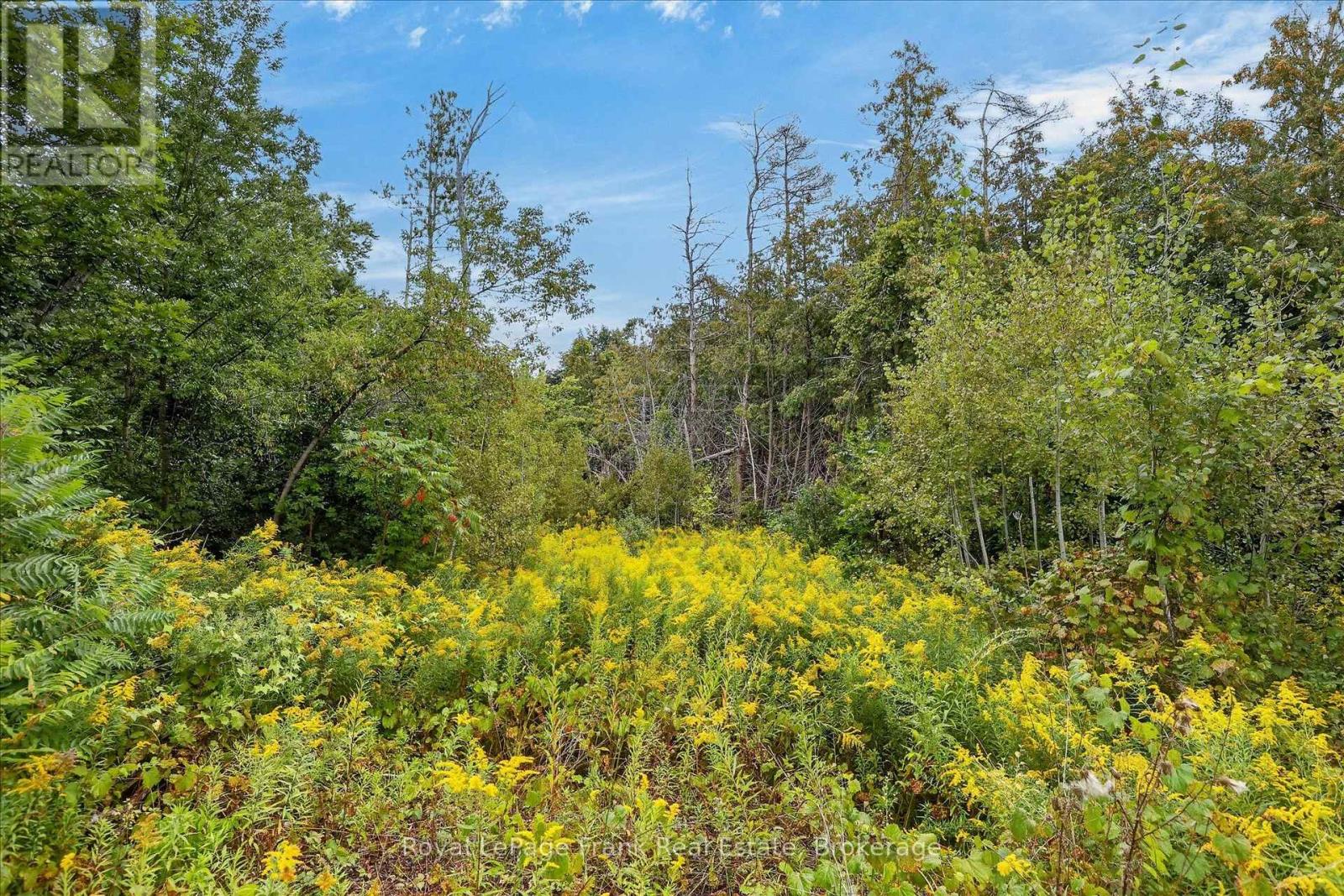 Pt Lt 6 Seaforth Crescent, Selwyn, Ontario  K9J 6X5 - Photo 5 - X13772344
