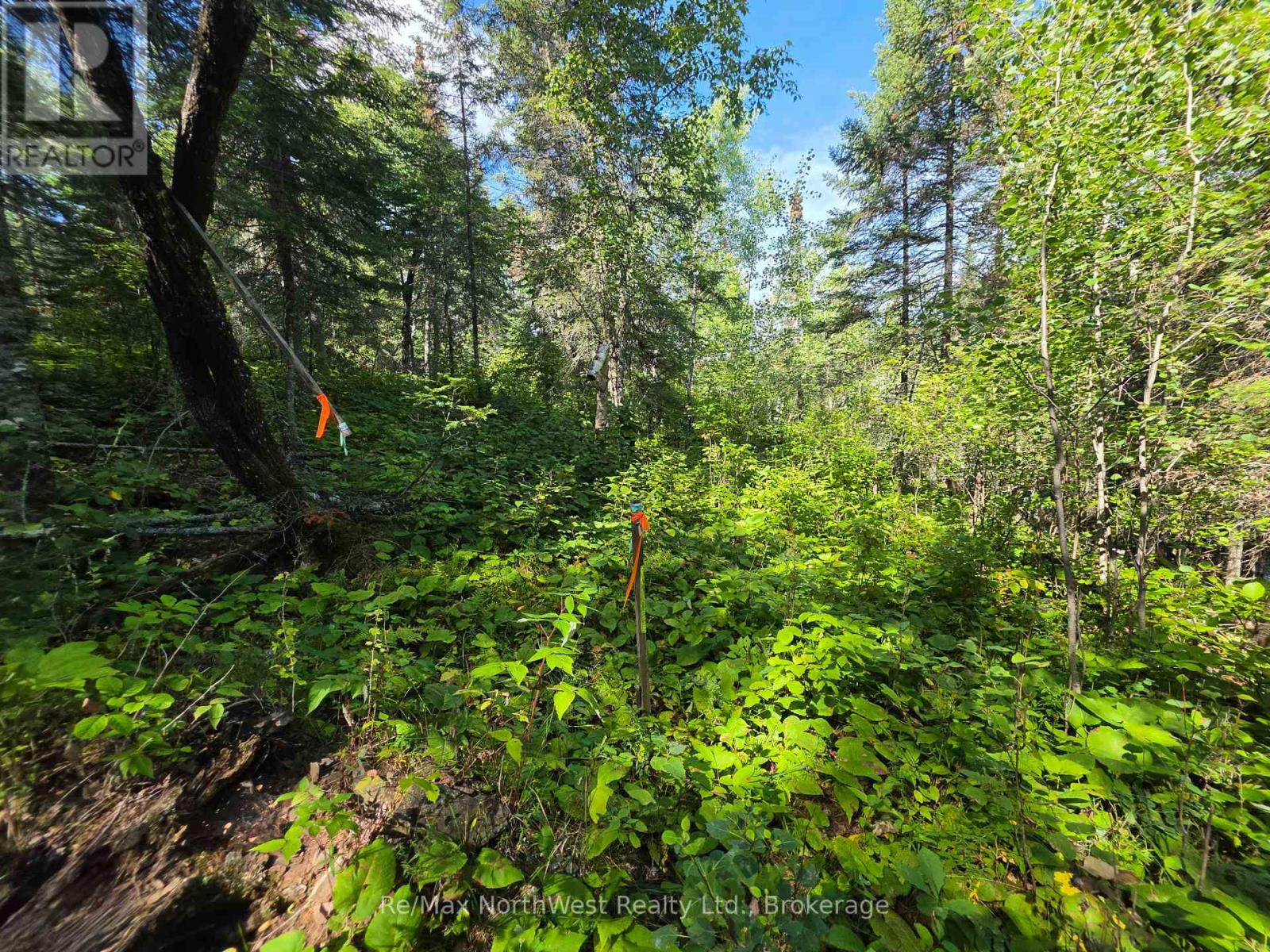 Lot 18 Regina Heights Boulevard, Sioux Narrows-Nestor Falls, Ontario  P0X 1N0 - Photo 10 - X13772558
