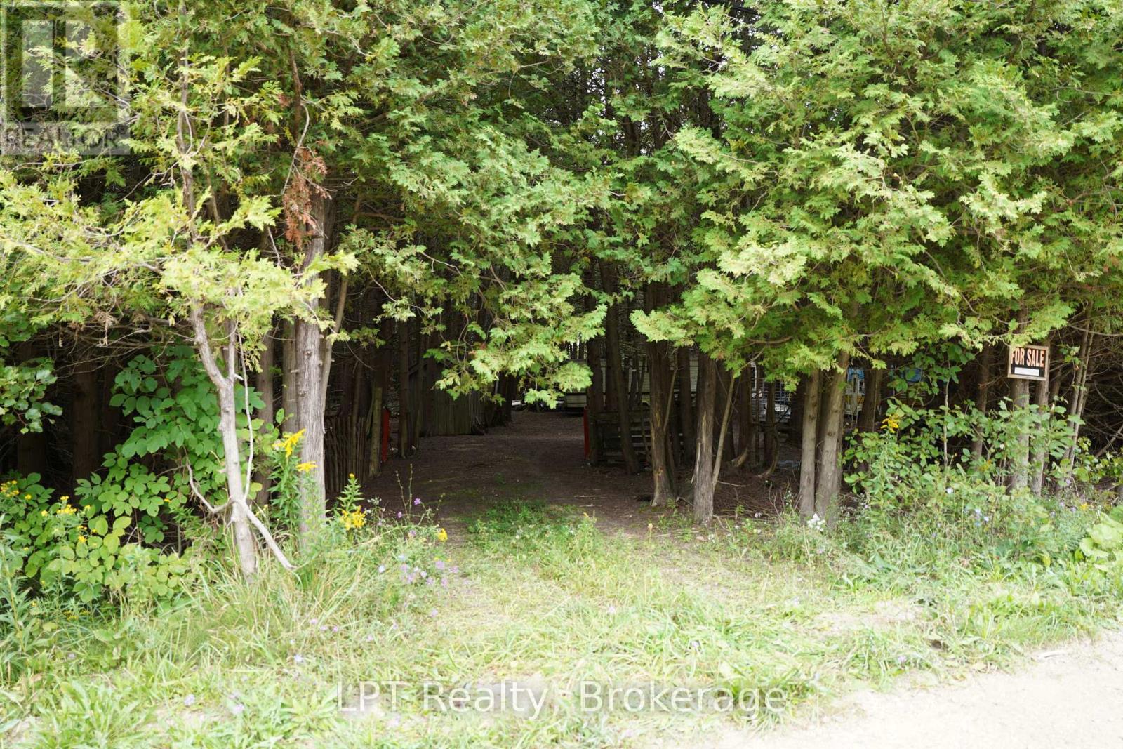 Pt Lt 48-50 Con 1, Chatsworth, Ontario  N0H 1C0 - Photo 10 - X13772472