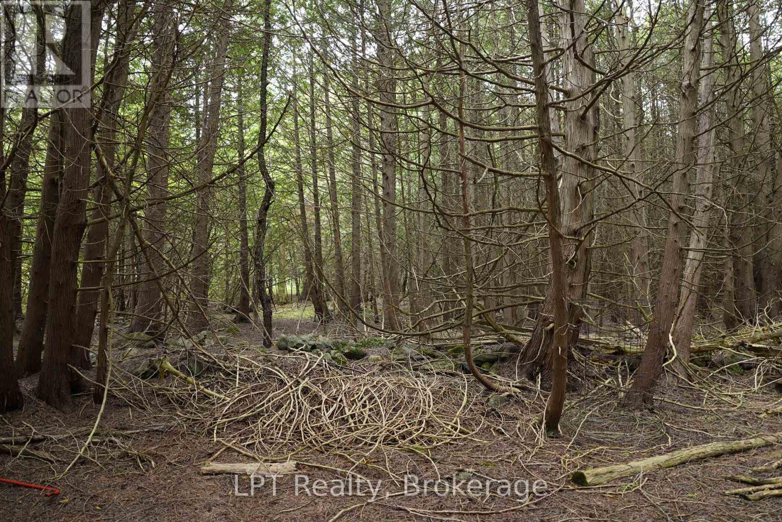 Pt Lt 48-50 Con 1, Chatsworth, Ontario  N0H 1C0 - Photo 15 - X13772472