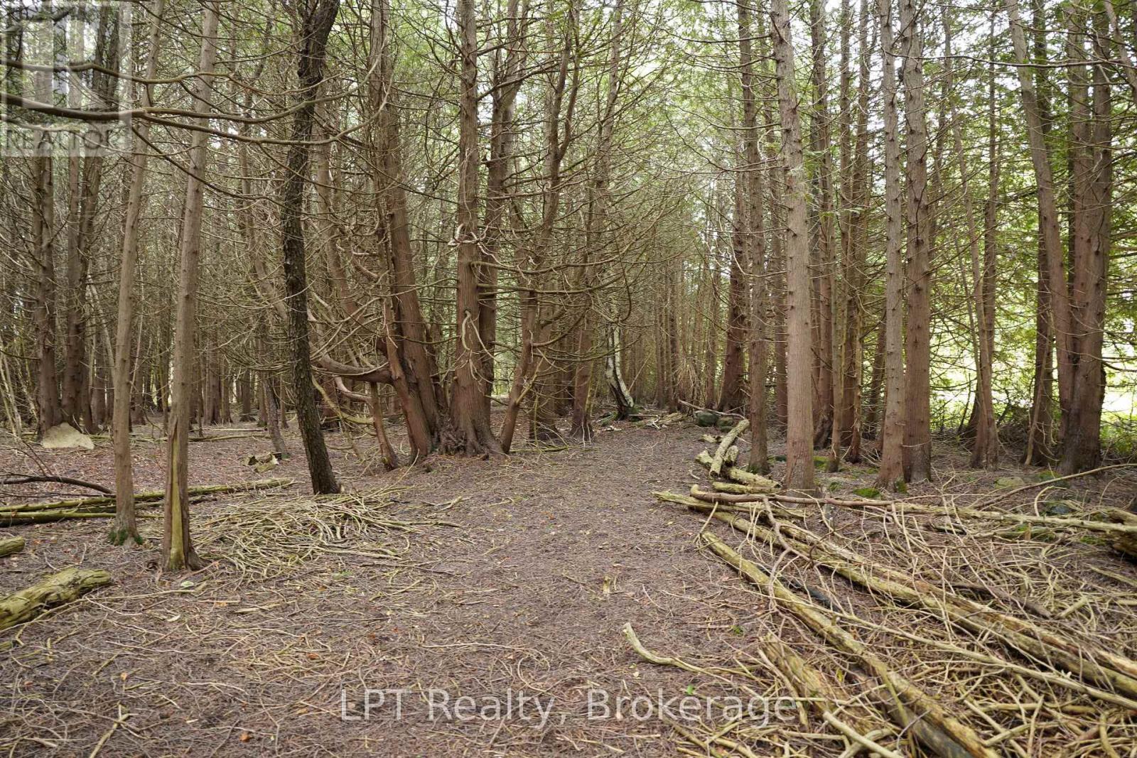 Pt Lt 48-50 Con 1, Chatsworth, Ontario  N0H 1C0 - Photo 16 - X13772472