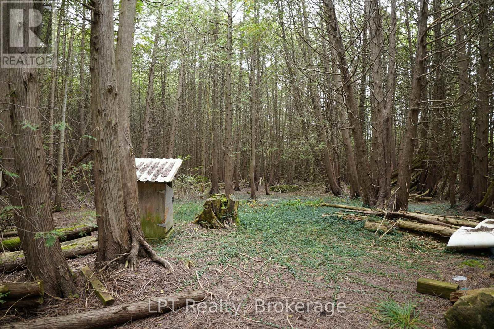 Pt Lt 48-50 Con 1, Chatsworth, Ontario  N0H 1C0 - Photo 18 - X13772472