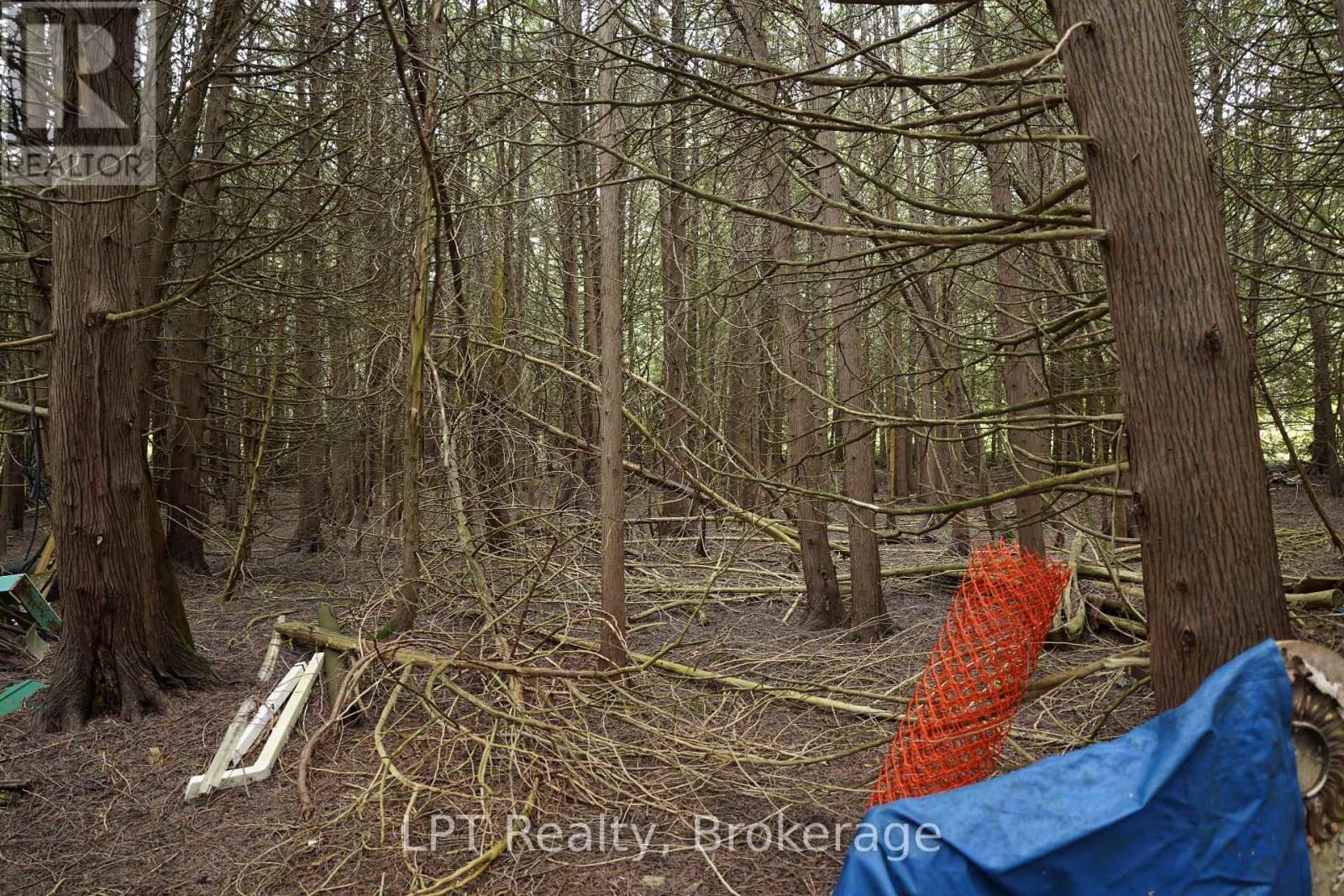 Pt Lt 48-50 Con 1, Chatsworth, Ontario  N0H 1C0 - Photo 20 - X13772472