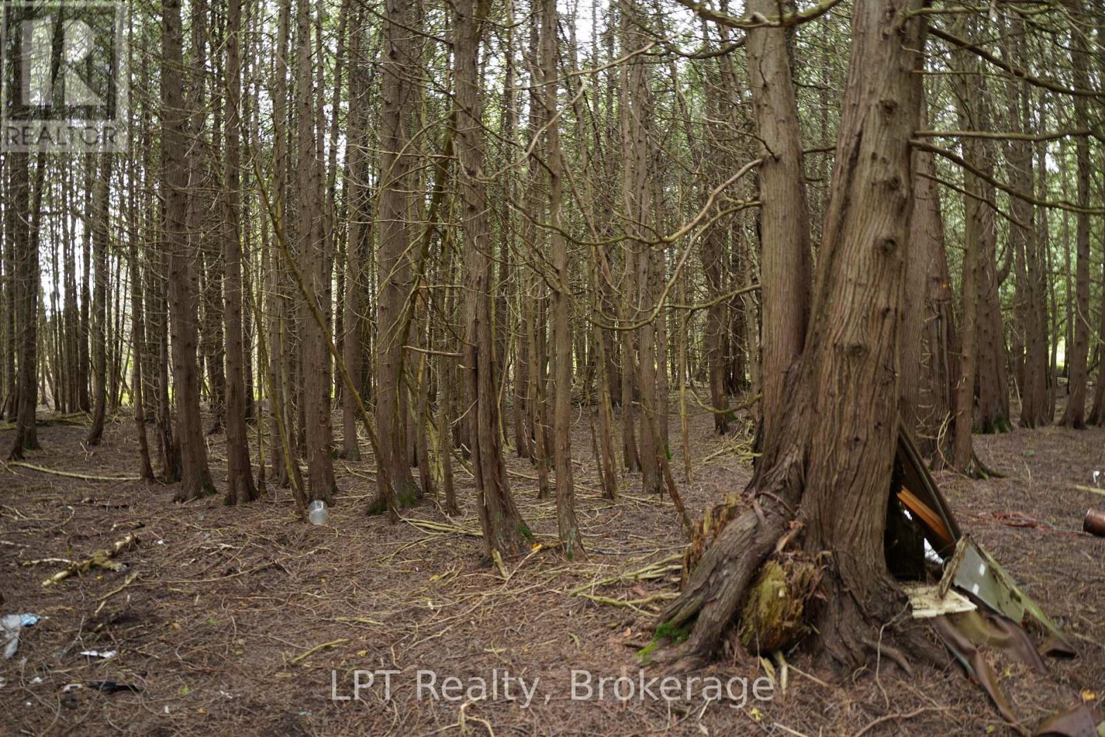 Pt Lt 48-50 Con 1, Chatsworth, Ontario  N0H 1C0 - Photo 21 - X13772472