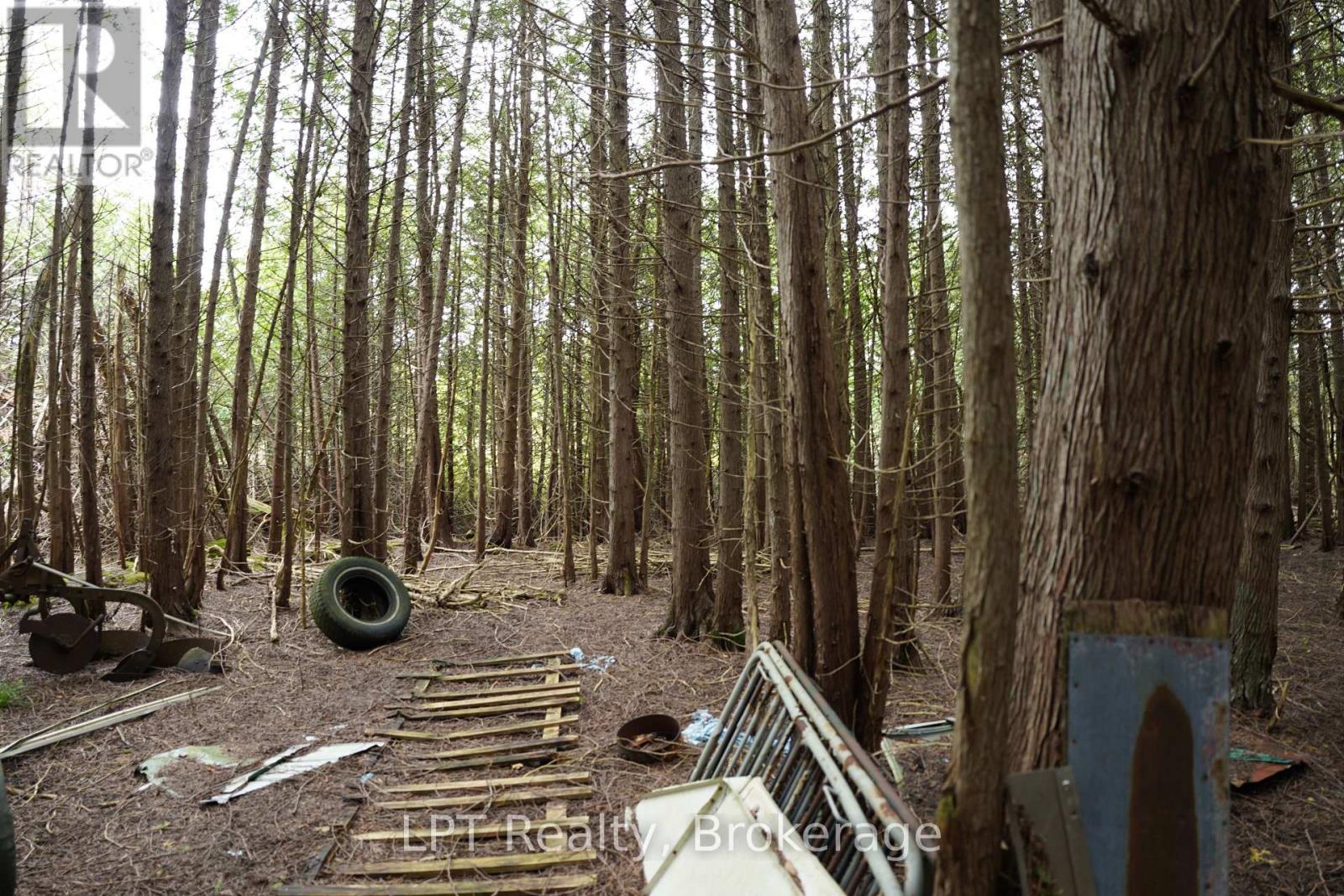 Pt Lt 48-50 Con 1, Chatsworth, Ontario  N0H 1C0 - Photo 22 - X13772472