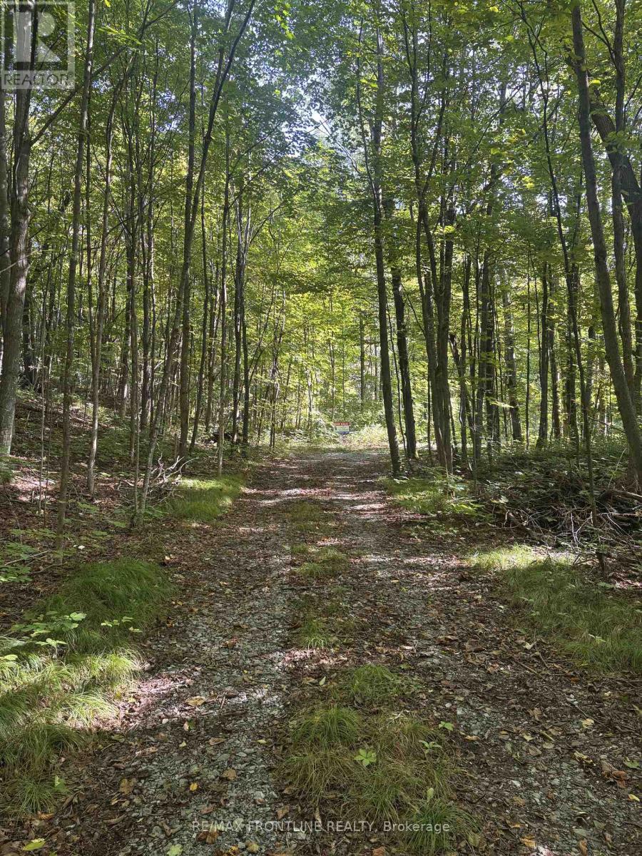 Lot 3 Hilary Way Scotch Line Road, Tay Valley, Ontario K7H 3C5 - Photo 3 - X13021266