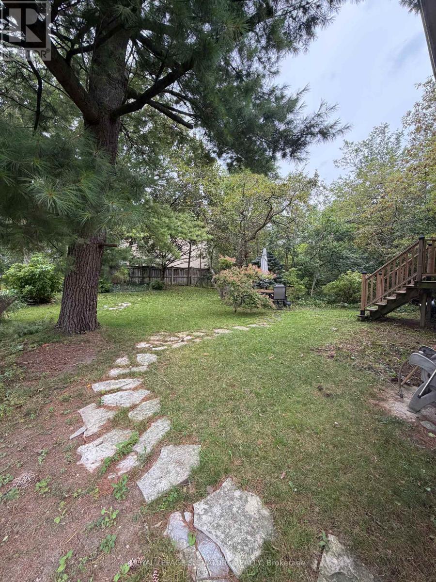 Main - 36 Royalavon Crescent, Toronto, Ontario  M9A 2E8 - Photo 26 - W13772712