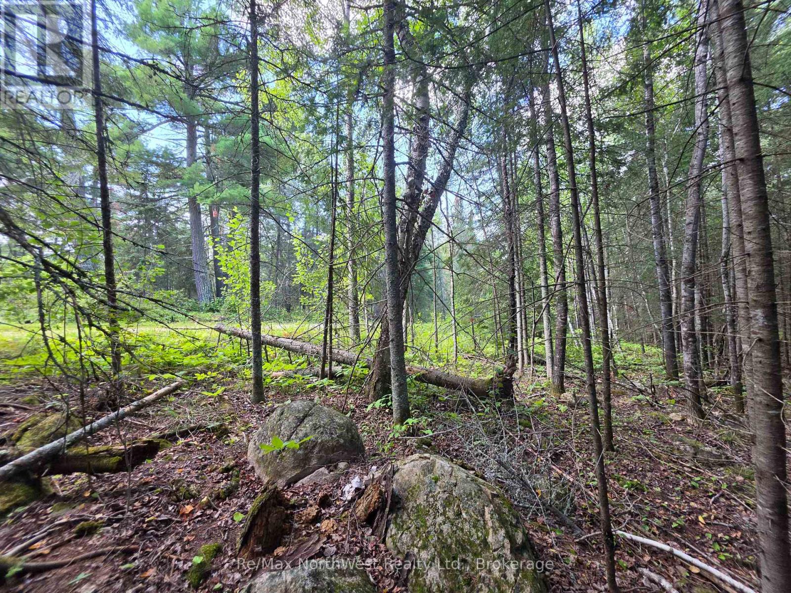 Lot 17 Regina Heights Boulevard, Sioux Narrows-Nestor Falls, Ontario  P0X 1N0 - Photo 10 - X13773200