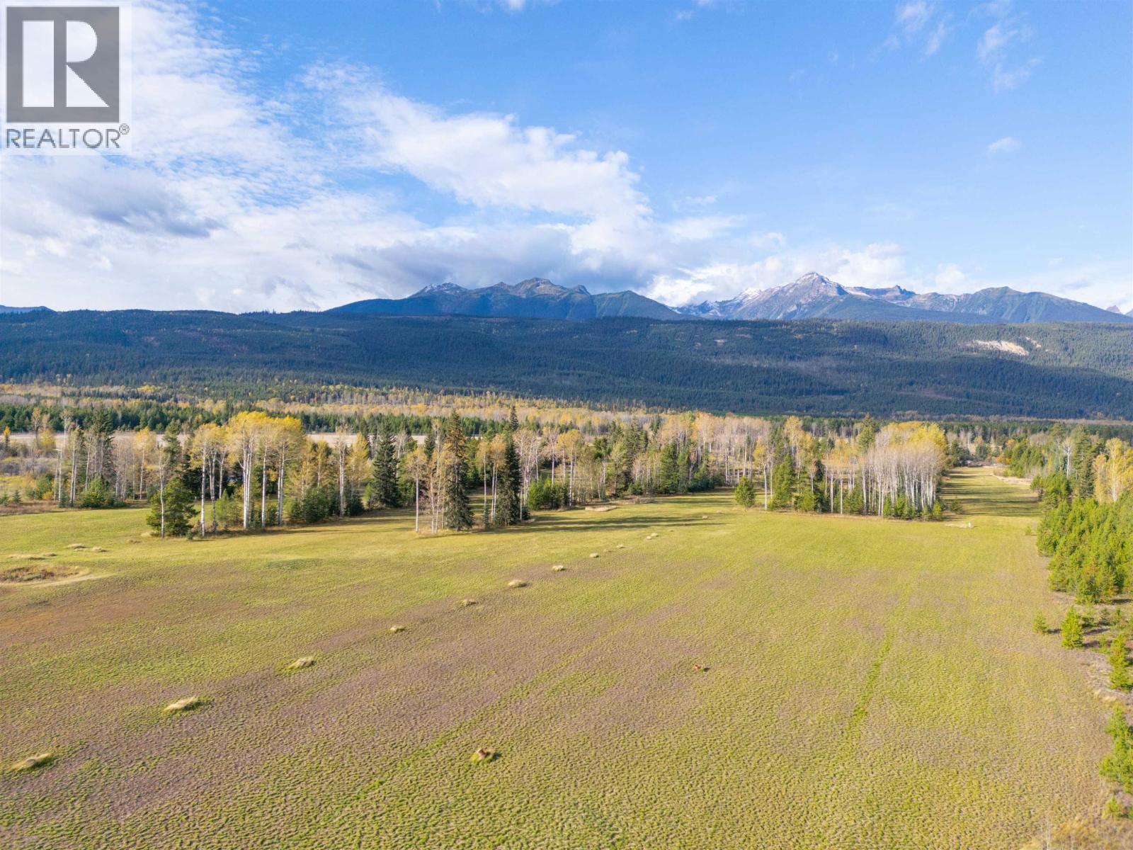 1655 S Highway 5, Valemount, British Columbia  V0E 2Z0 - Photo 4 - C8079497