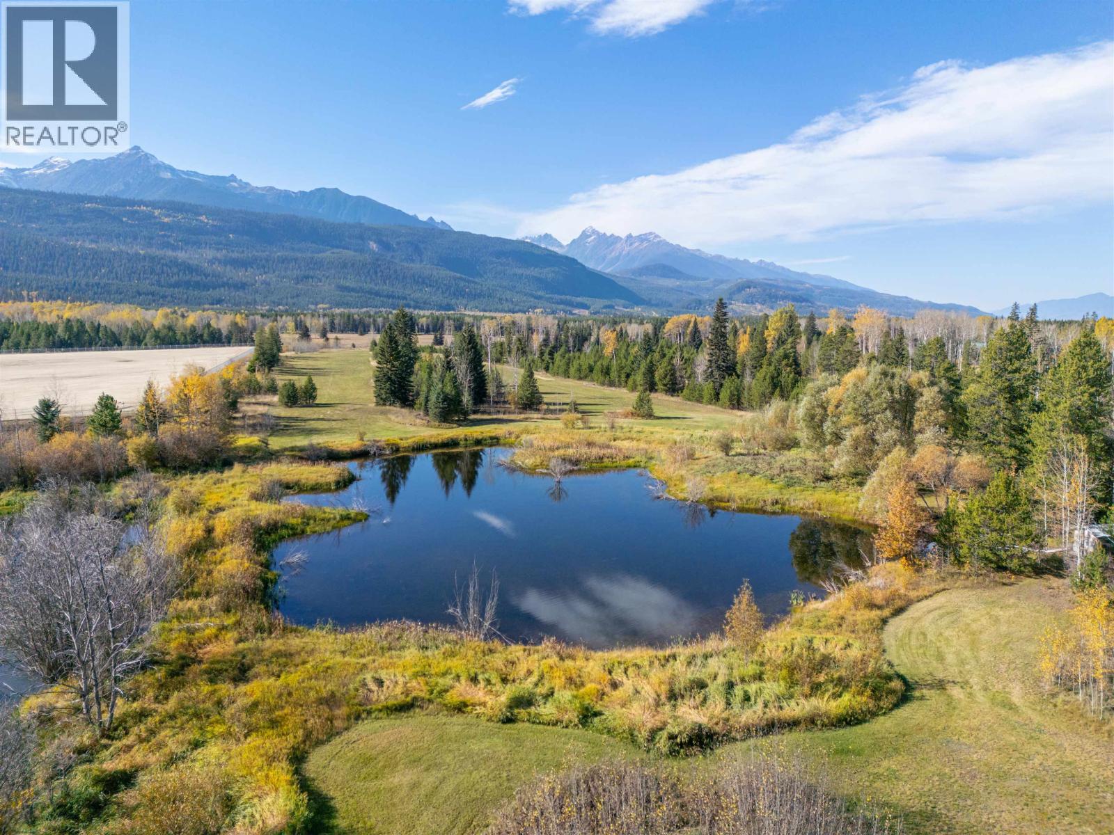 1655 S Highway 5, Valemount, British Columbia  V0E 2Z0 - Photo 6 - C8079497