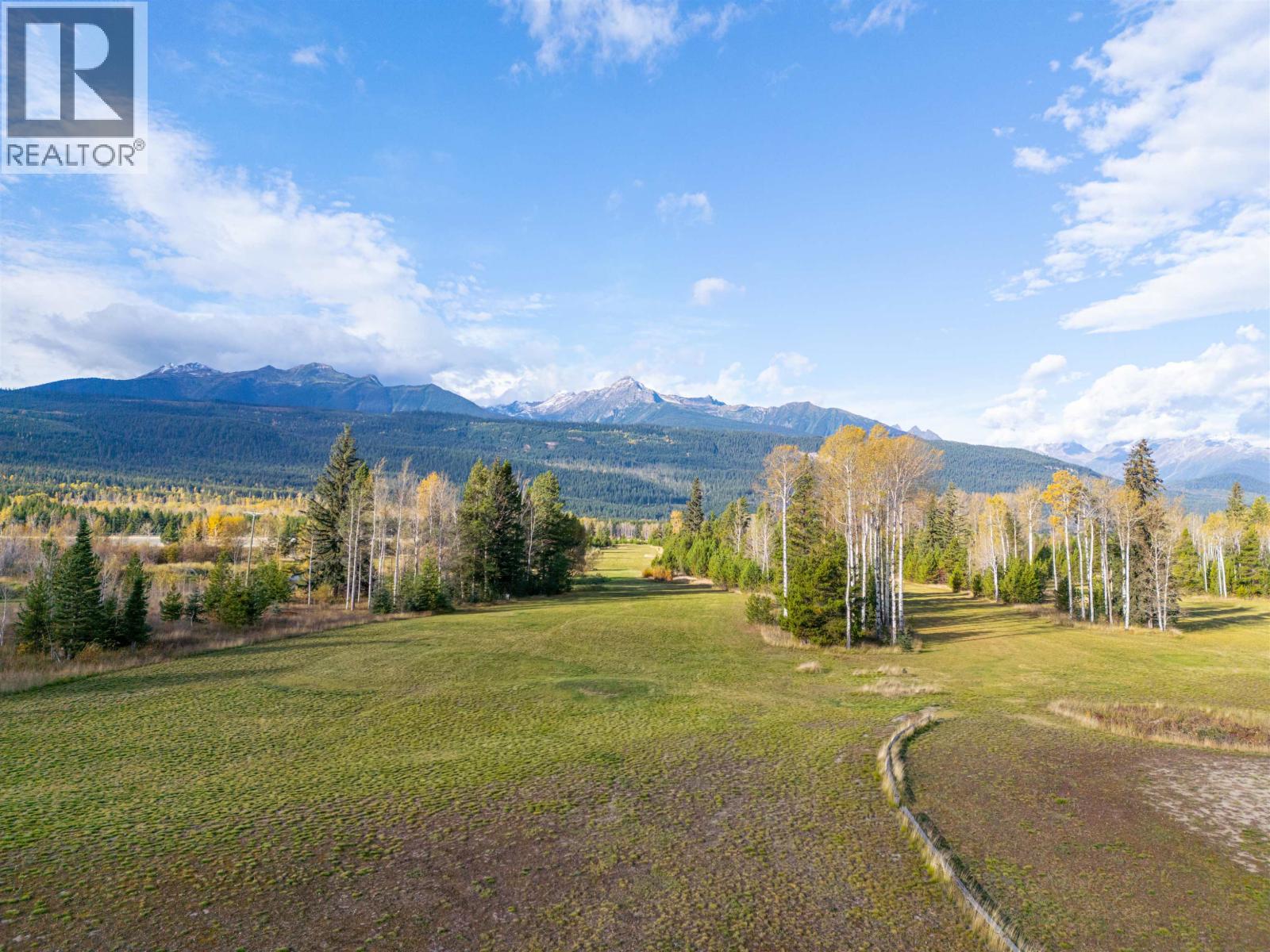 1655 S Highway 5, Valemount, British Columbia  V0E 2Z0 - Photo 5 - C8079497