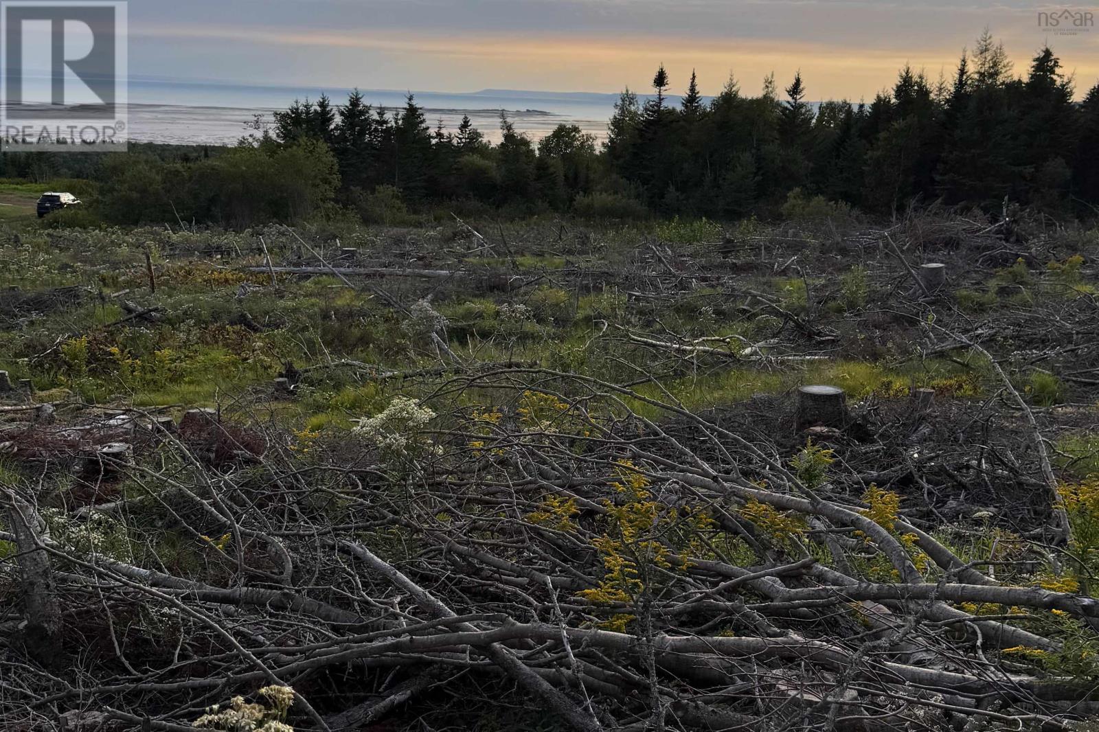 Lot 18-2 River Phillip Road, Economy, Nova Scotia  B0M 1B0 - Photo 7 - 202622658