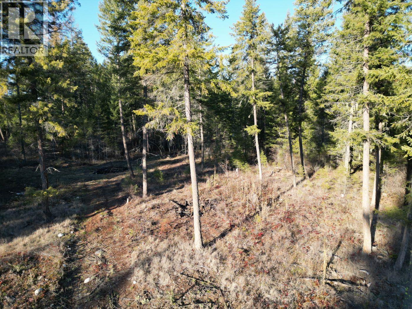 Lot 1 Caitlin Road, Christina Lake, British Columbia  V0H 1E0 - Photo 4 - 10355791