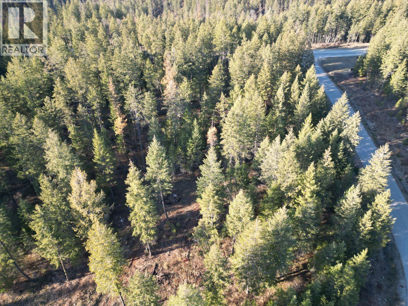 Lot 1 Caitlin Road, Christina Lake, British Columbia  V0H 1E0 - Photo 5 - 10355791