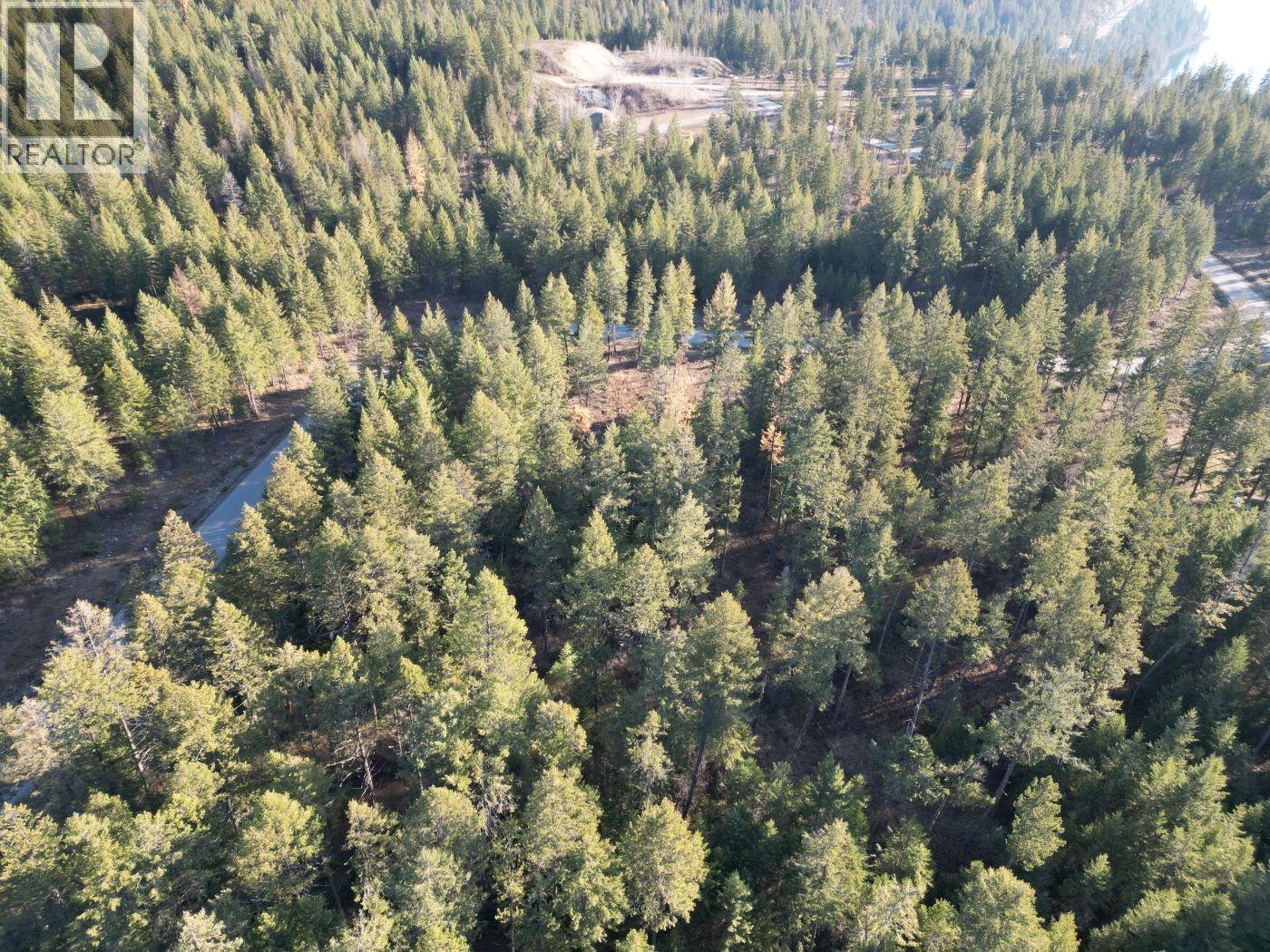Lot 1 Caitlin Road, Christina Lake, British Columbia  V0H 1E0 - Photo 6 - 10355791