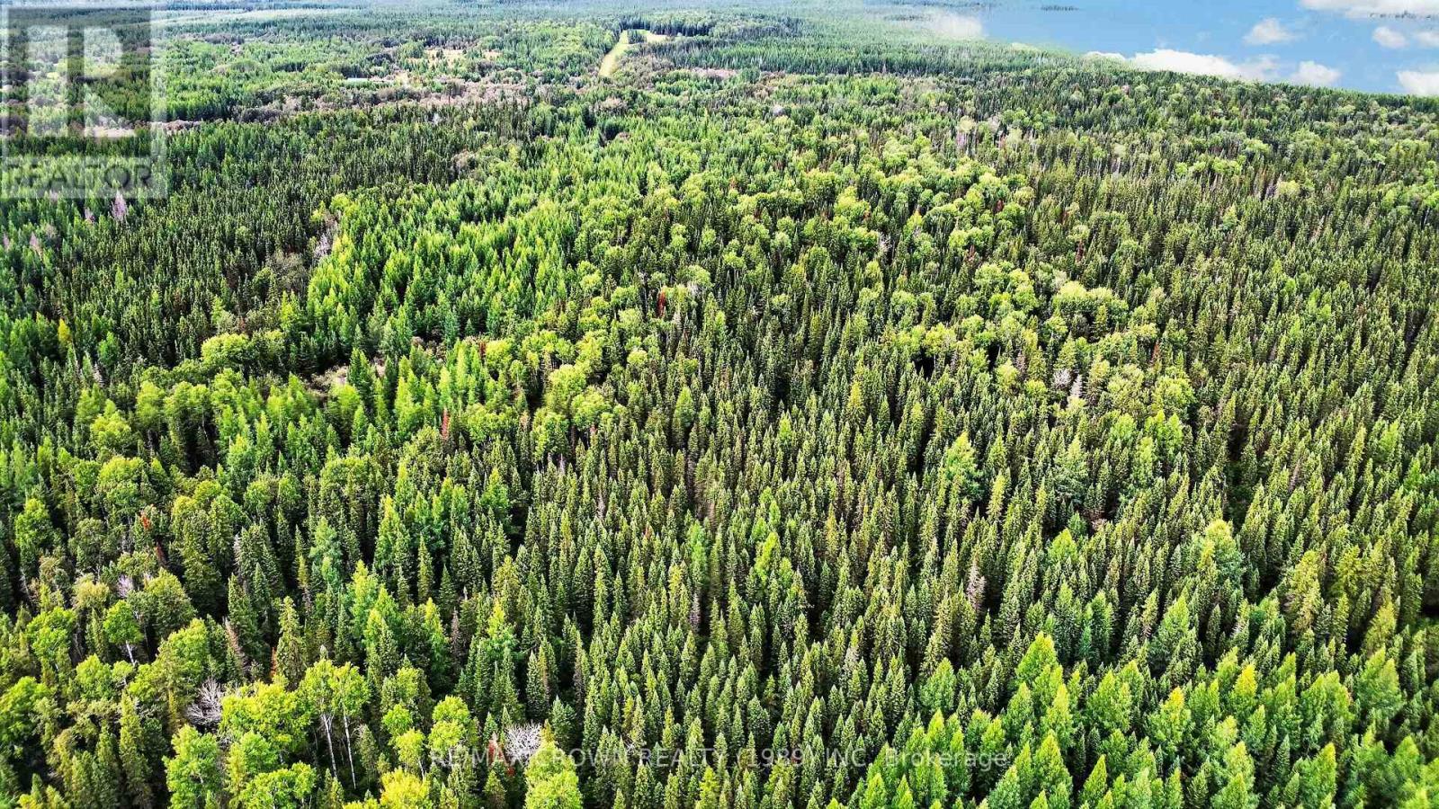 Lot 1 Conc 10 Concession, Cochrane Remote Area, Ontario  P0L 1L0 - Photo 10 - T13773628