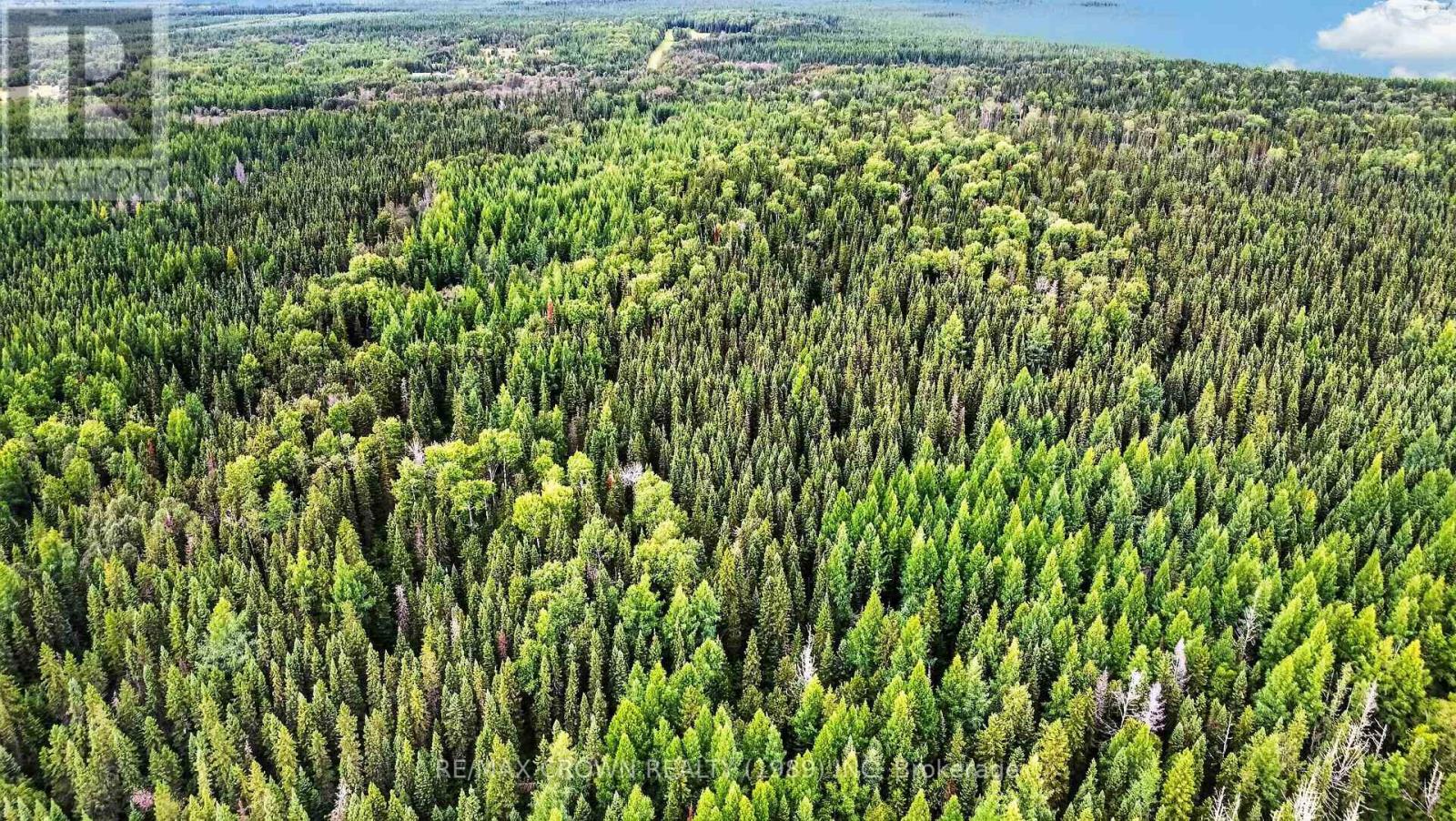 Lot 1 Conc 10 Concession, Cochrane Remote Area, Ontario  P0L 1L0 - Photo 11 - T13773628