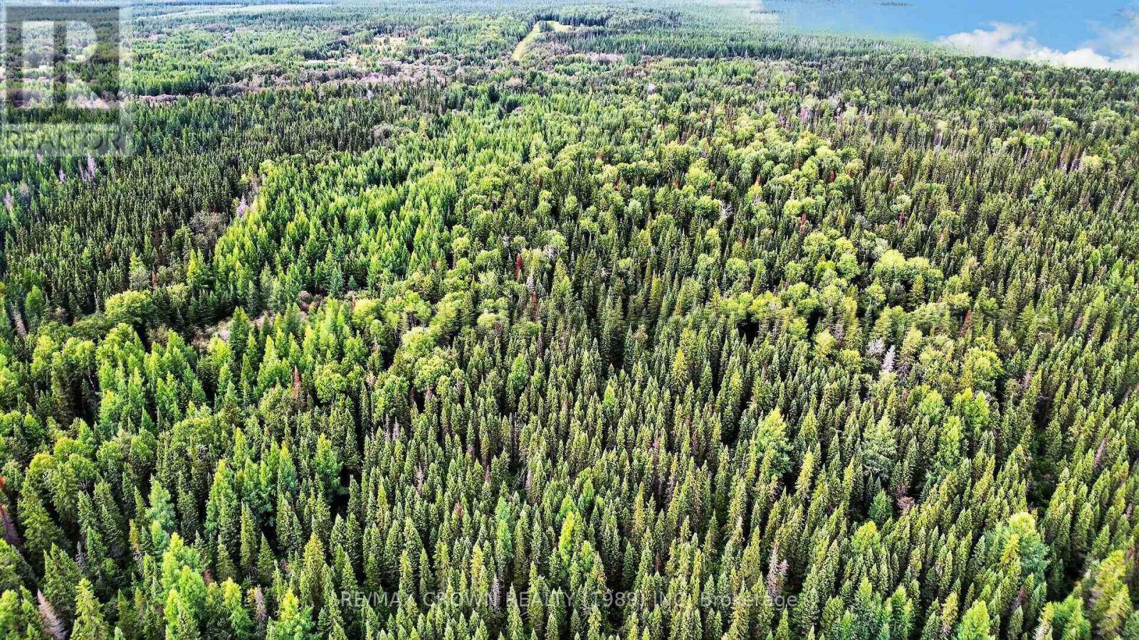 Lot 1 Conc 10 Concession, Cochrane Remote Area, Ontario  P0L 1L0 - Photo 12 - T13773628