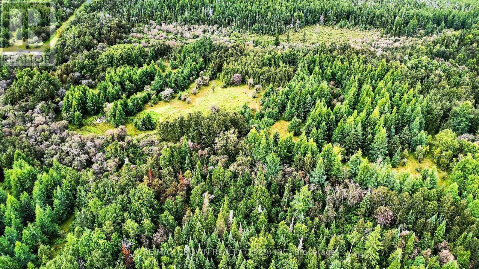 Lot 1 Conc 10 Concession, Cochrane Remote Area, Ontario  P0L 1L0 - Photo 13 - T13773628