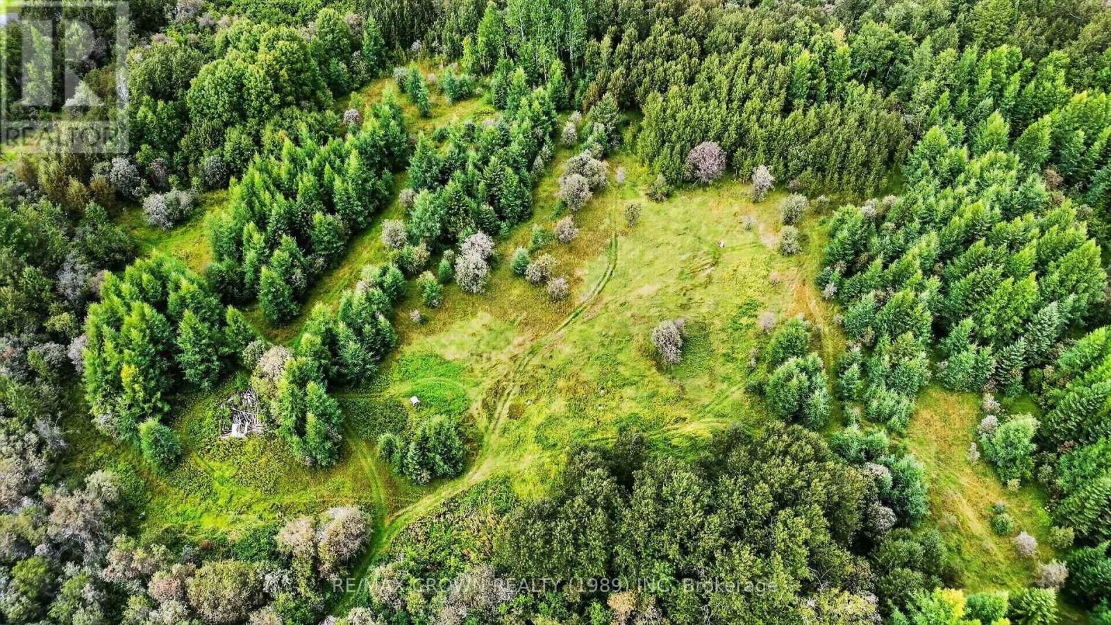 Lot 1 Conc 10 Concession, Cochrane Remote Area, Ontario  P0L 1L0 - Photo 14 - T13773628