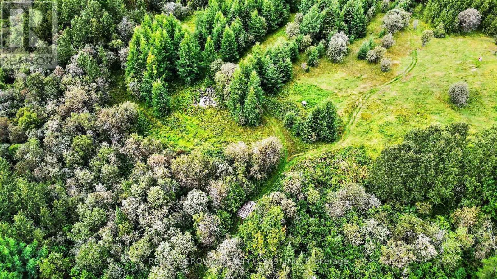 Lot 1 Conc 10 Concession, Cochrane Remote Area, Ontario  P0L 1L0 - Photo 15 - T13773628