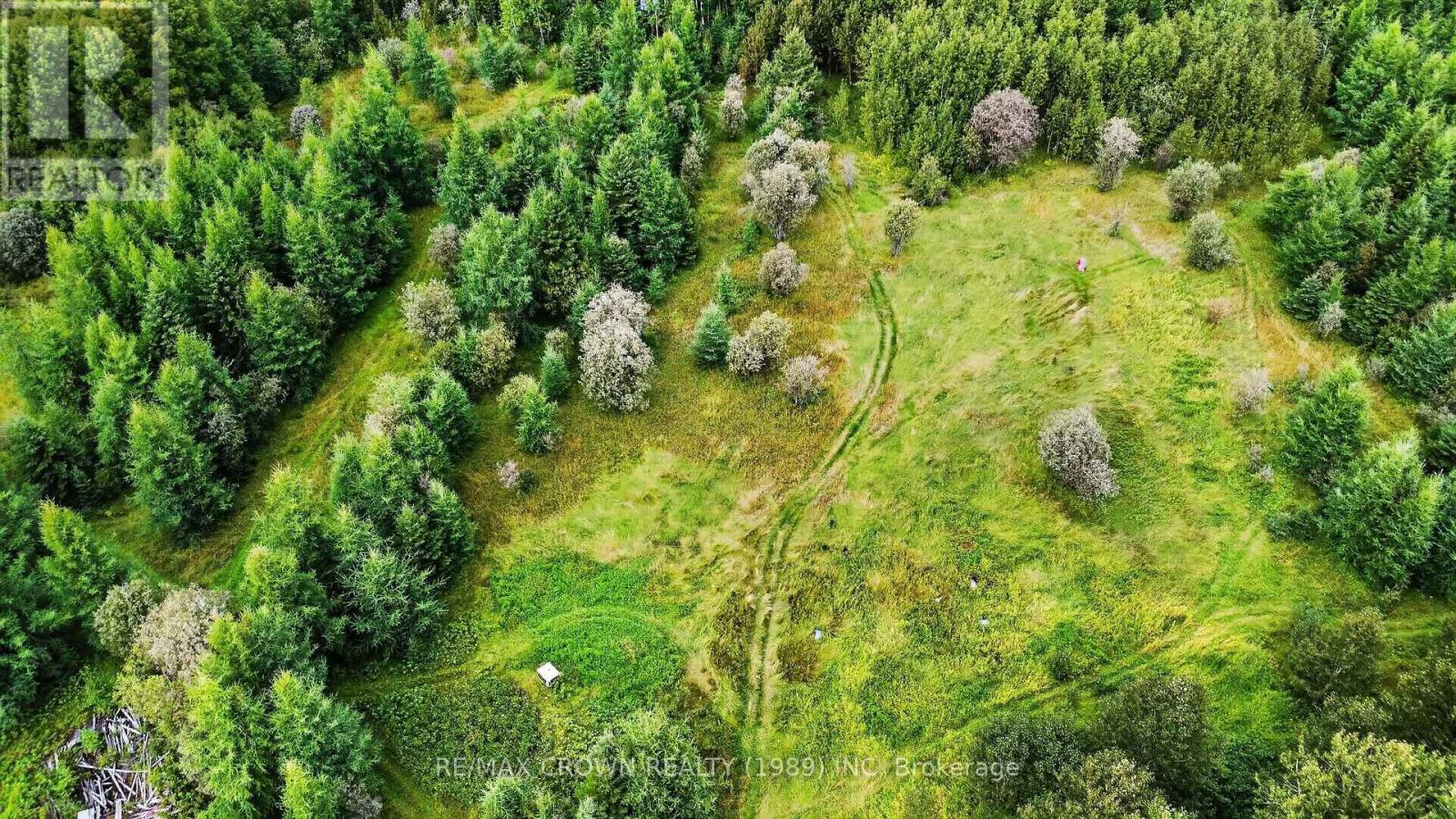 Lot 1 Conc 10 Concession, Cochrane Remote Area, Ontario  P0L 1L0 - Photo 16 - T13773628